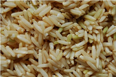 ขาวกลองงอก GABA Rice ประโยชน