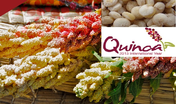 ควนว Quinoa คออะไร ทำไมถงเปน Super Food