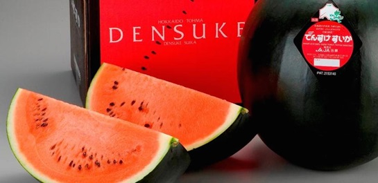 densuke watermelon