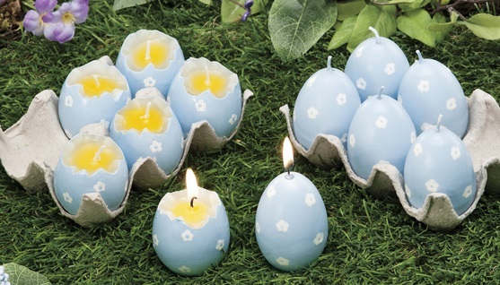ประโยชน์ของเปลือกไข่ 15 เรื่องน่าทึ่งจากเปลือกไข่ - Maanow