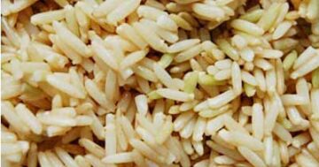 GABA rice